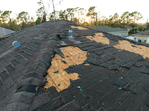 Best Roof Coating Services  in Island City, OR